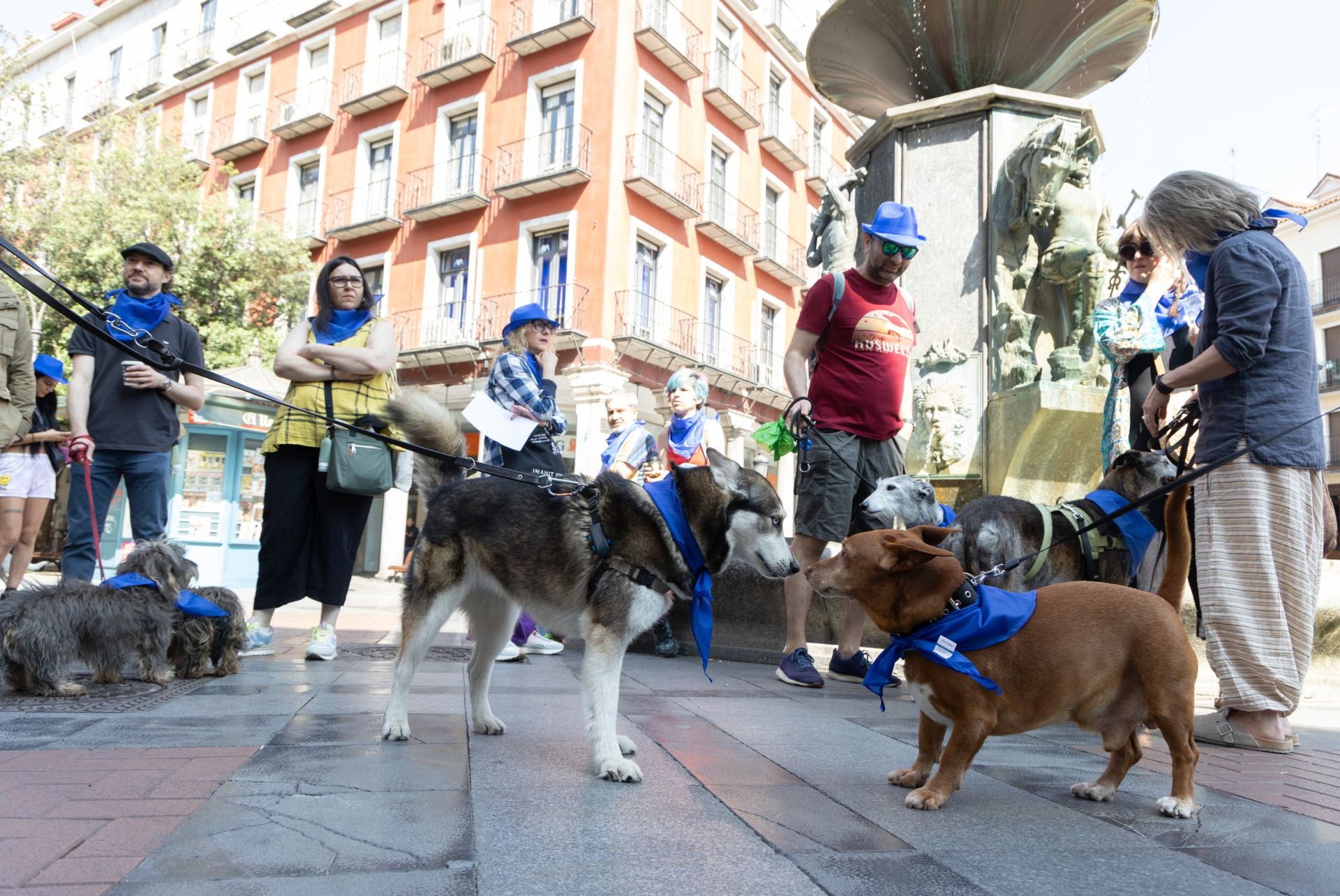 La protesta de los veterinarios, en imágenes