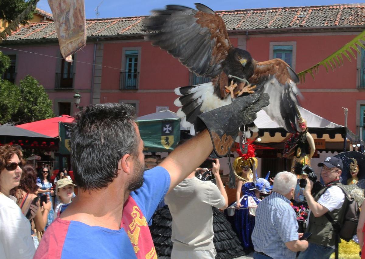 Imagen secundaria 1 - Arriba, desfile de vestidos de época en el Mercado Barroco, abajo una exhibición de cetrería y a la derecha, unas niñas disfrazdas pasean por los puestos de artesanía. 