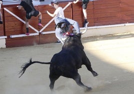 Momento en el que el astado alcanza al joven, el sábado en Medina del Campo.