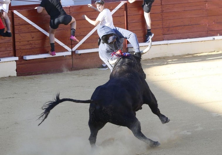 Momento en el que el astado alcanza al joven, el sábado en Medina del Campo.