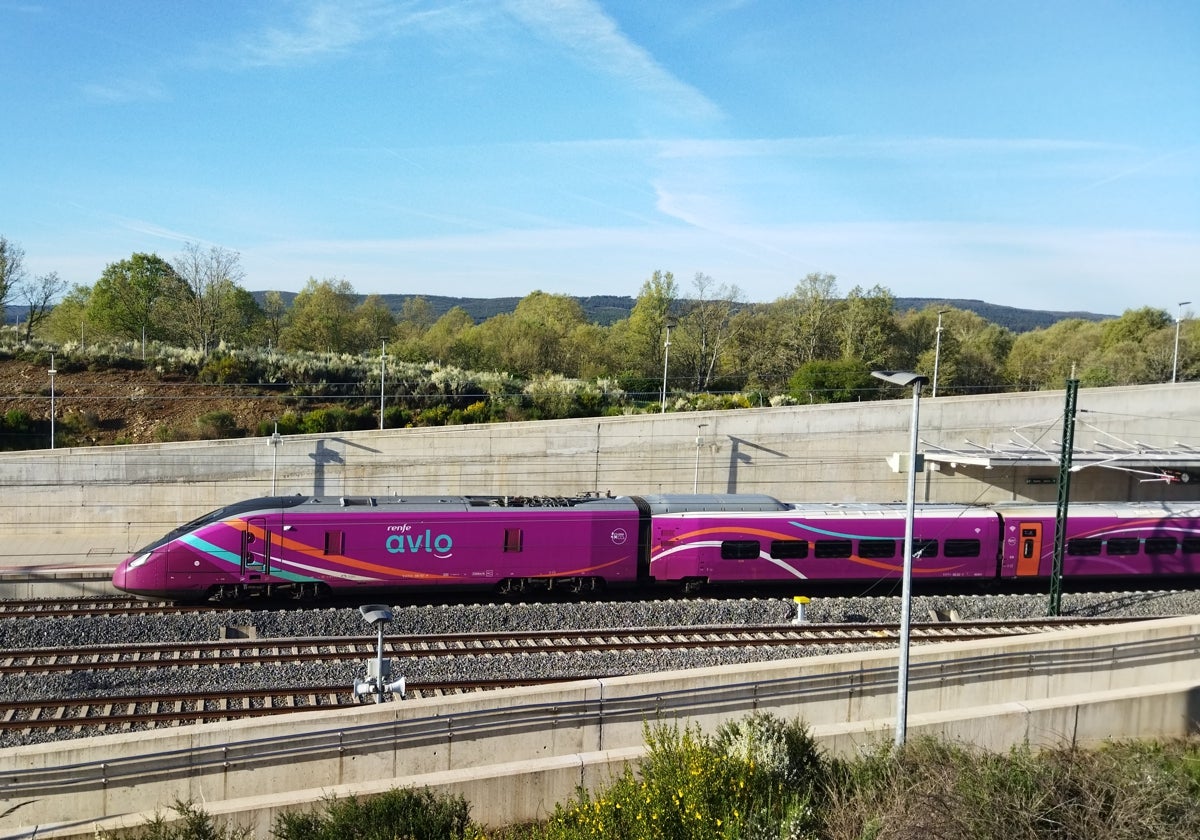 Y el tren pasó de largo en Sanabria, Medina y Segovia: «Hoy empieza otra batalla»
