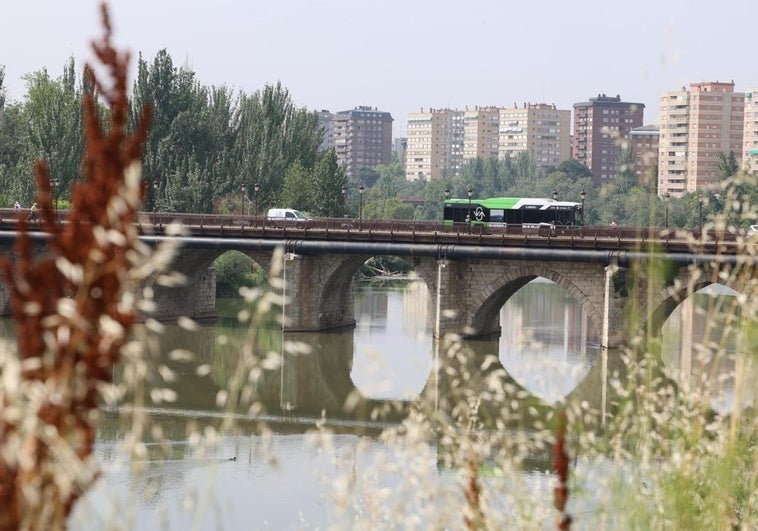 Los diez ojos desiguales que vigilan Valladolid desde el Pisuerga