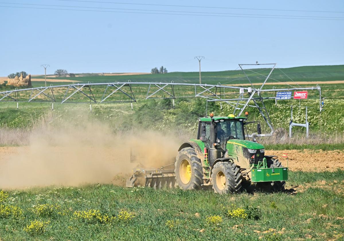 Campo de cultivo, en imagen de archivo.