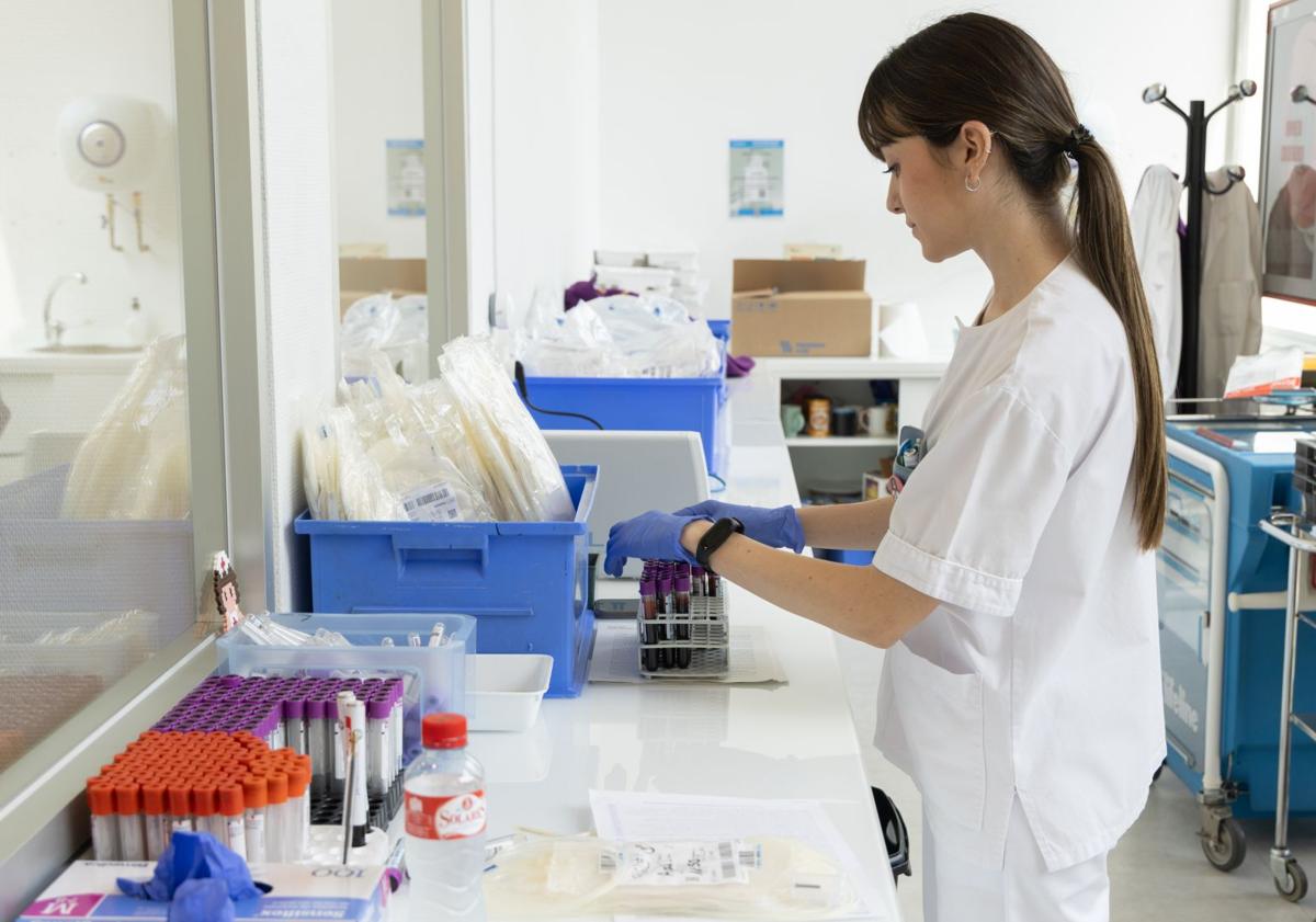 Imagen principal - Preparación de muestras en la sala de extracción, un donante durante la donación de sangre y trabajo en los laboratorios del Centro de Hemoterapia y Hemodonación de Castilla y León.
