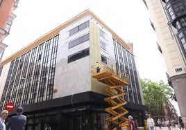 Instalación del jardín vertical en la fachada del CaixaBank de Regalado.