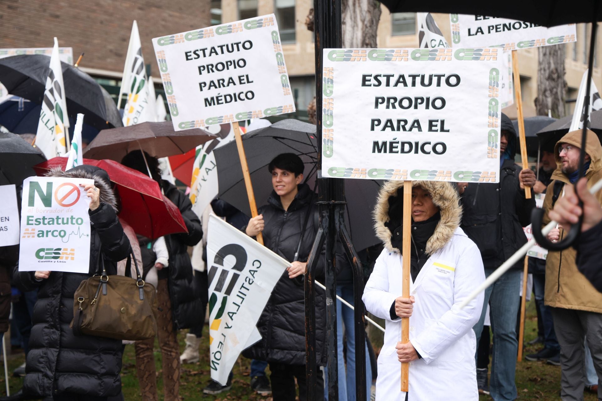 Movilización de la Confederación de Sindicatos Médicos (CESM) ante la Delegación del Gobierno en Castilla y León el pasado mes de febrero.