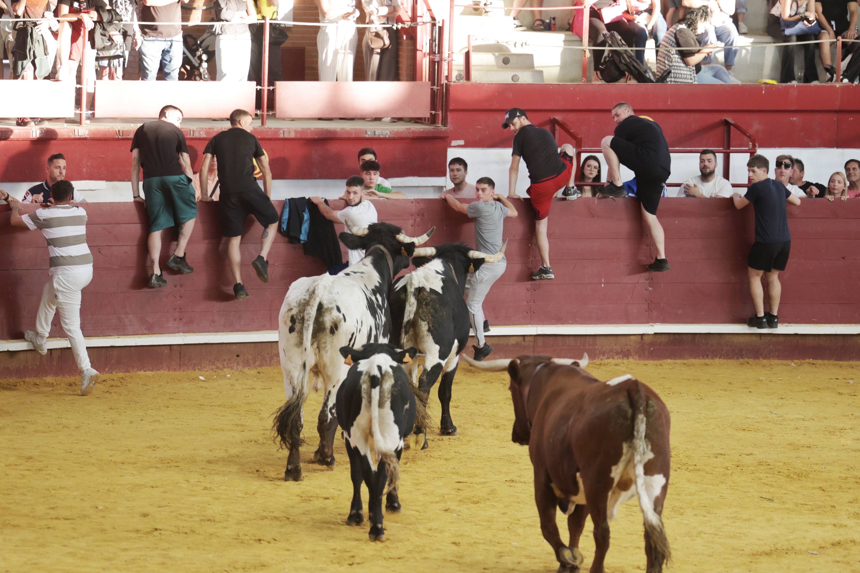 Las imágenes del encierro de este jueves en de Arroyo