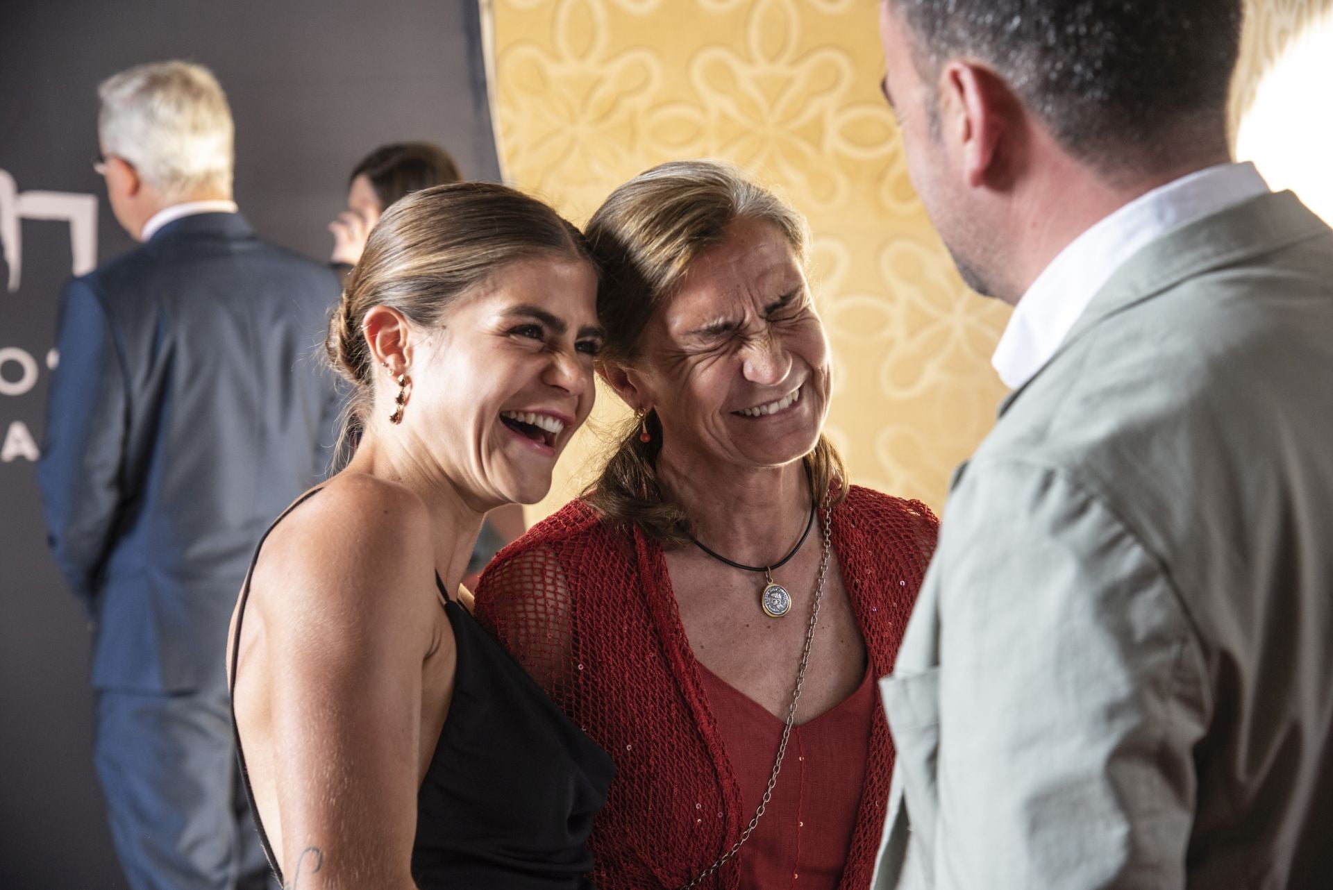 Fotos de la entrega de los Premios Diputación de Segovia