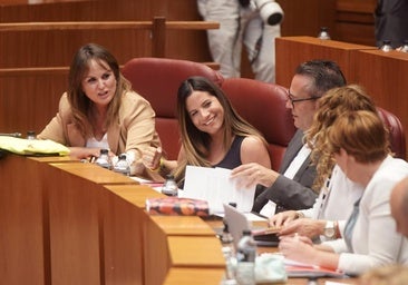 El PSOE denuncia presiones del PP a la prensa para impedir cambiar la Ley de Publicidad Institucional