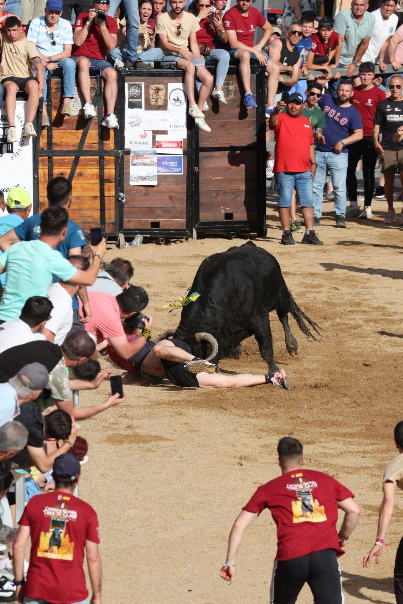 Las imágenes del Congreso Nacional de Toro de Cajón de Medina