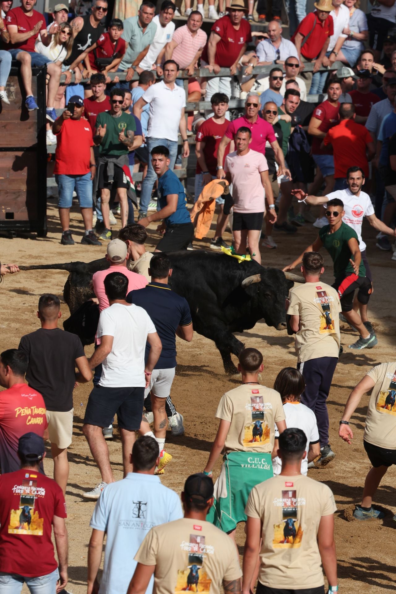 Las imágenes del Congreso Nacional de Toro de Cajón de Medina