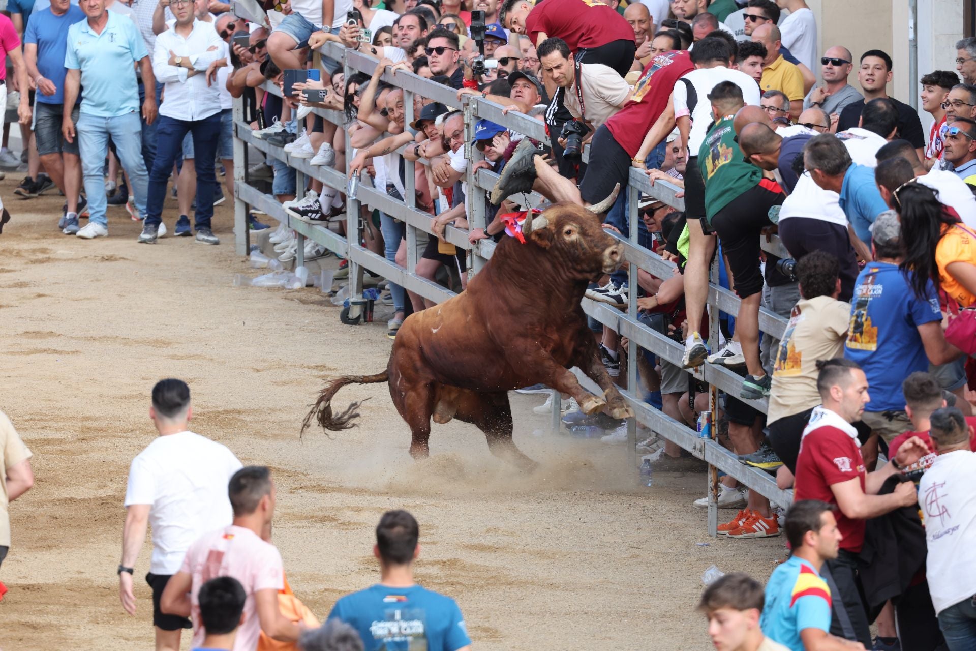 Las imágenes del Congreso Nacional de Toro de Cajón de Medina