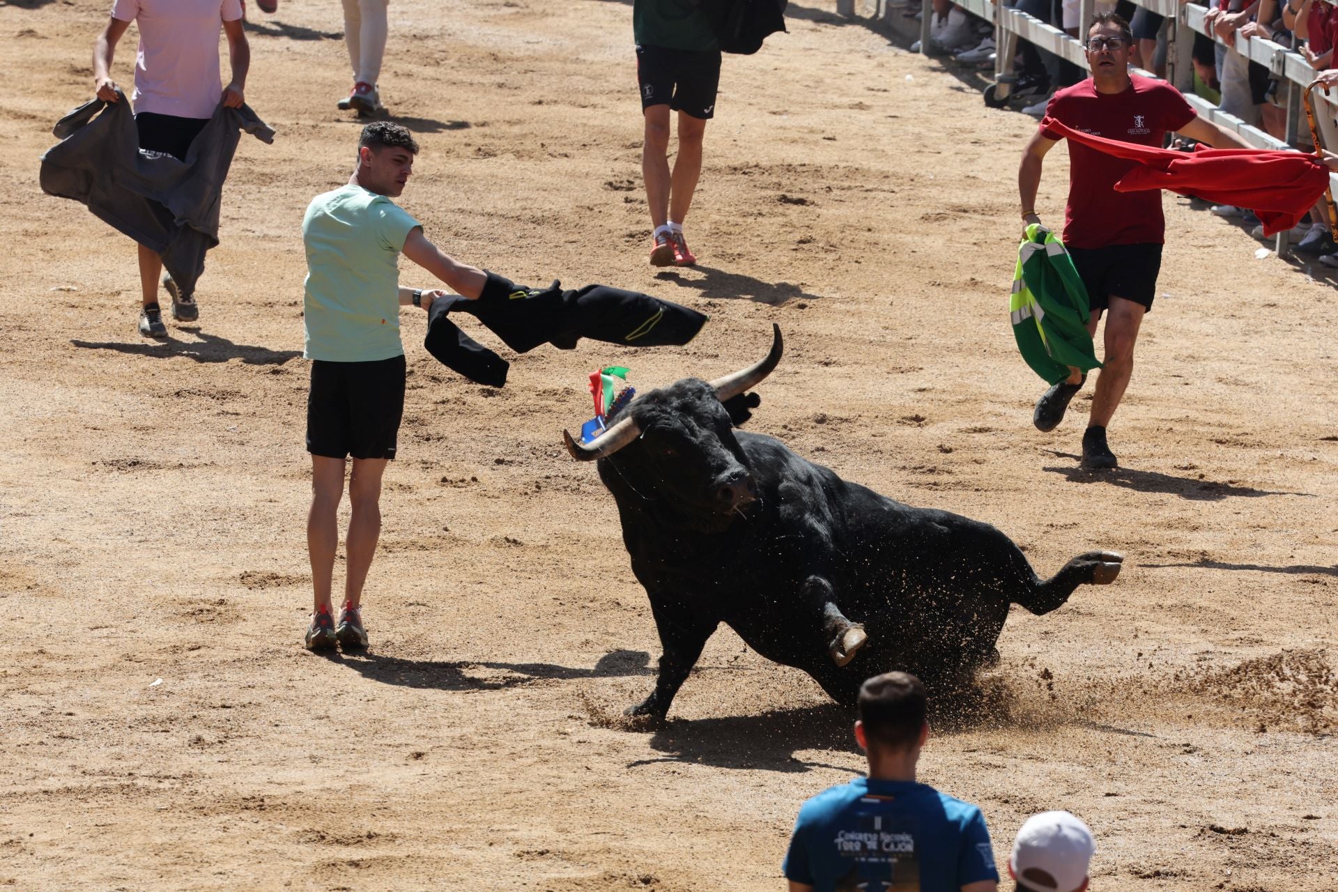 El Congreso Nacional de Toro de Cajón de Medina, en imágenes