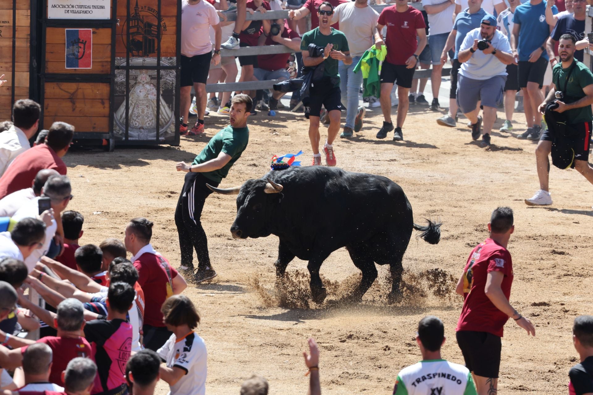 El Congreso Nacional de Toro de Cajón de Medina, en imágenes