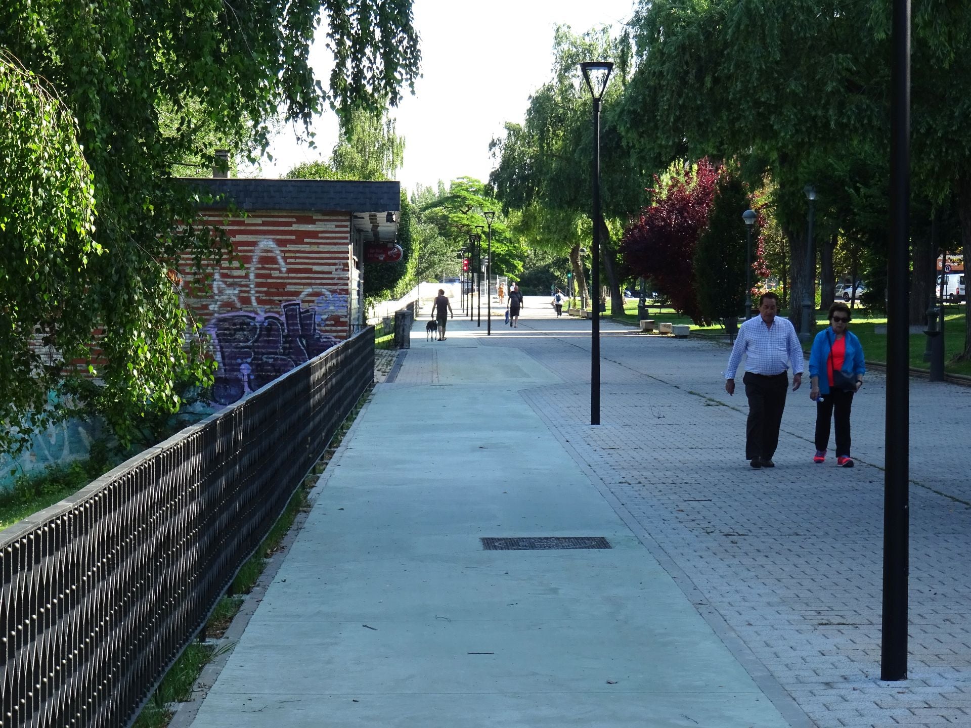 Las obras del carril bici de Isabel la Católica, en imágenes
