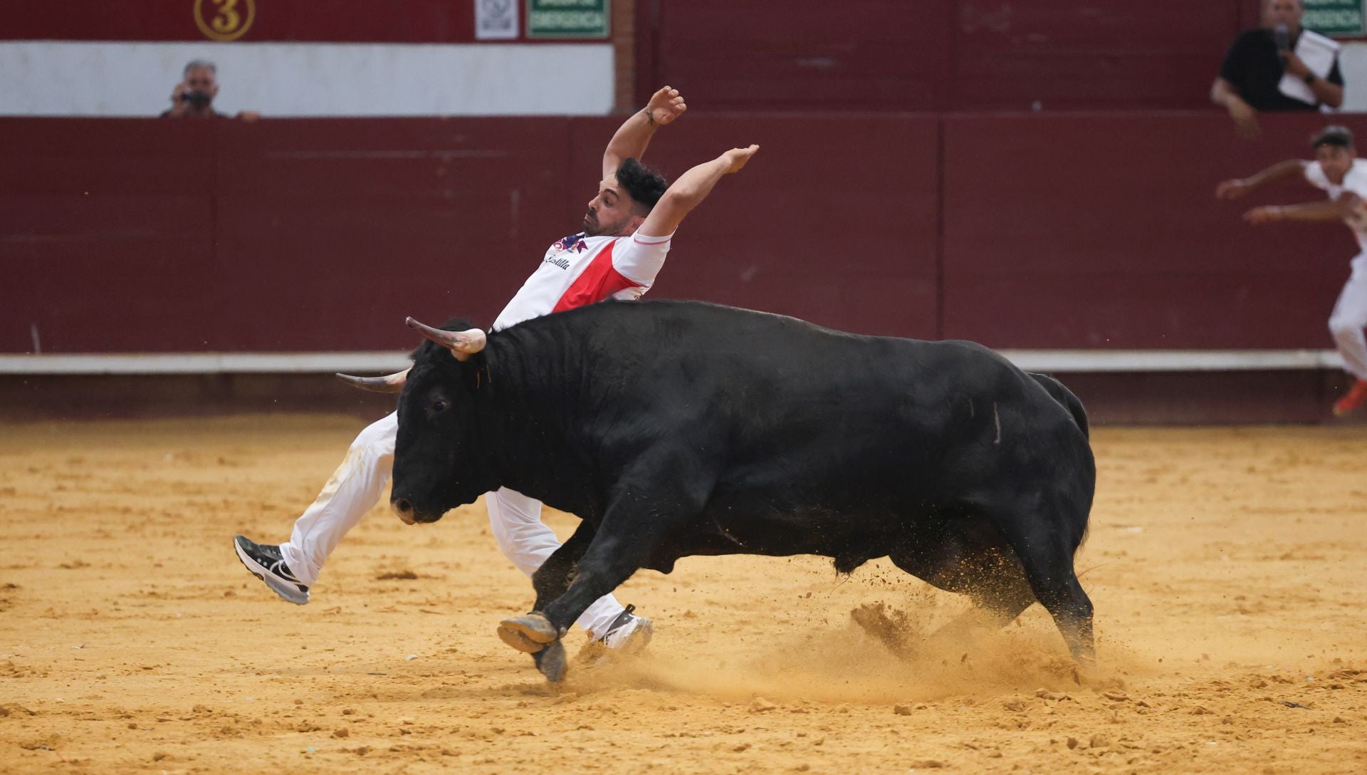 El concurso de cortes de Arroyo, en imágenes