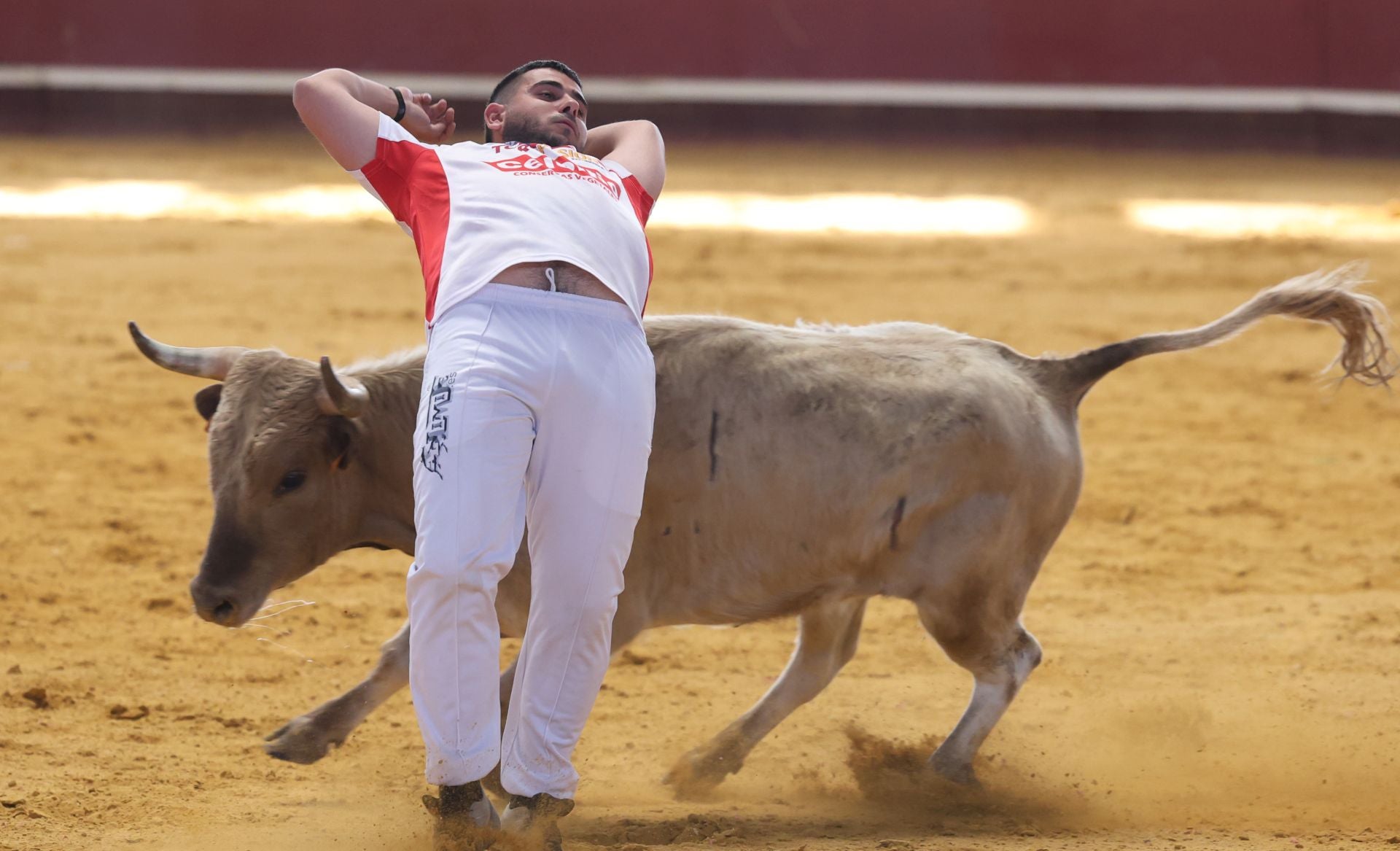 El concurso de cortes de Arroyo, en imágenes