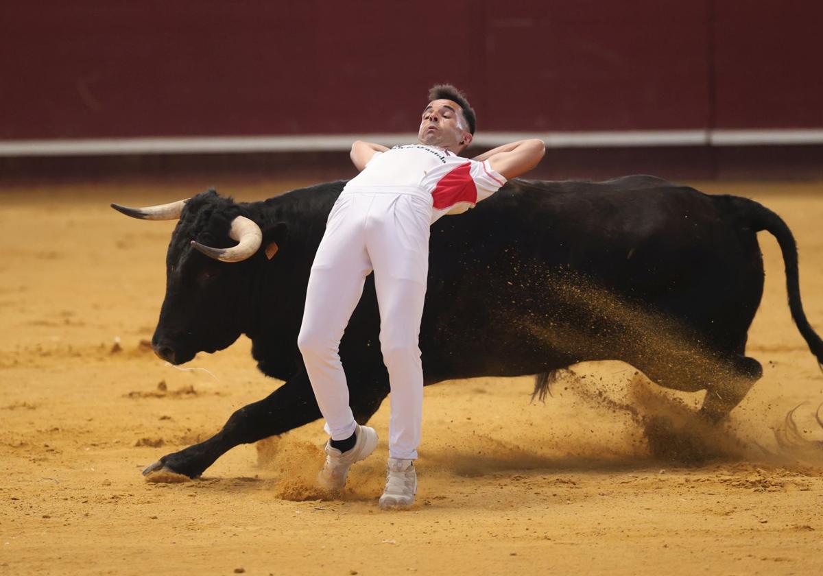 El concurso de cortes de Arroyo, en imágenes