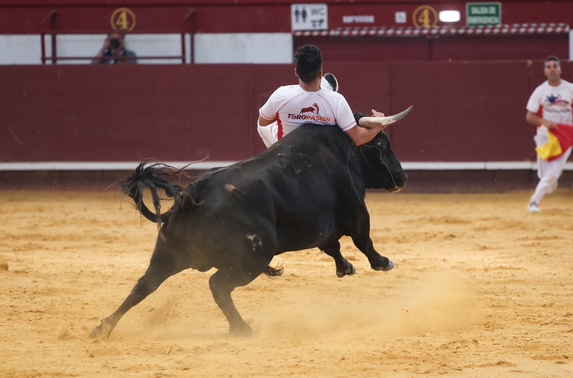 El concurso de cortes de Arroyo, en imágenes