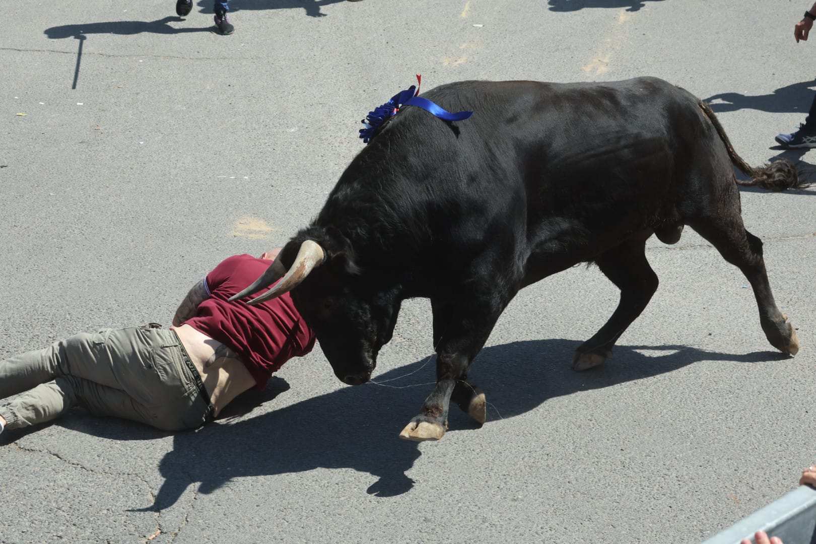 El revolcón en la suelta de Medina del Campo, en imágenes