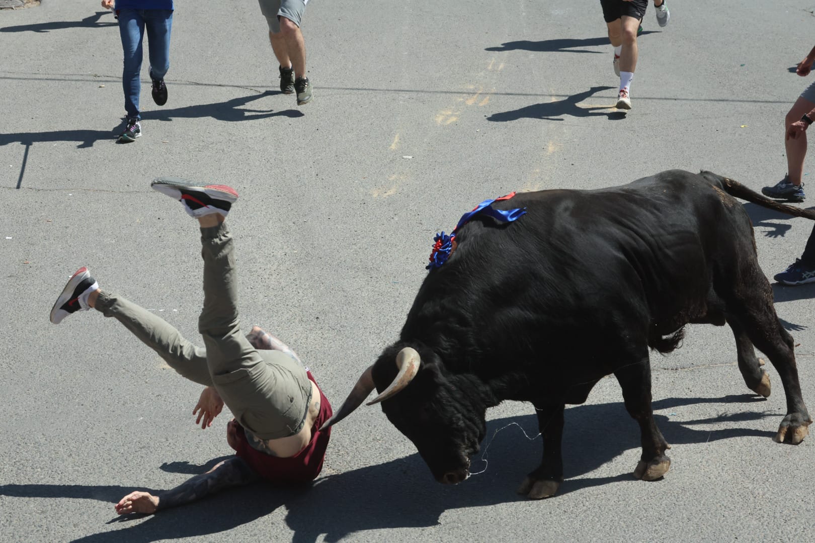 El revolcón en la suelta de Medina del Campo, en imágenes