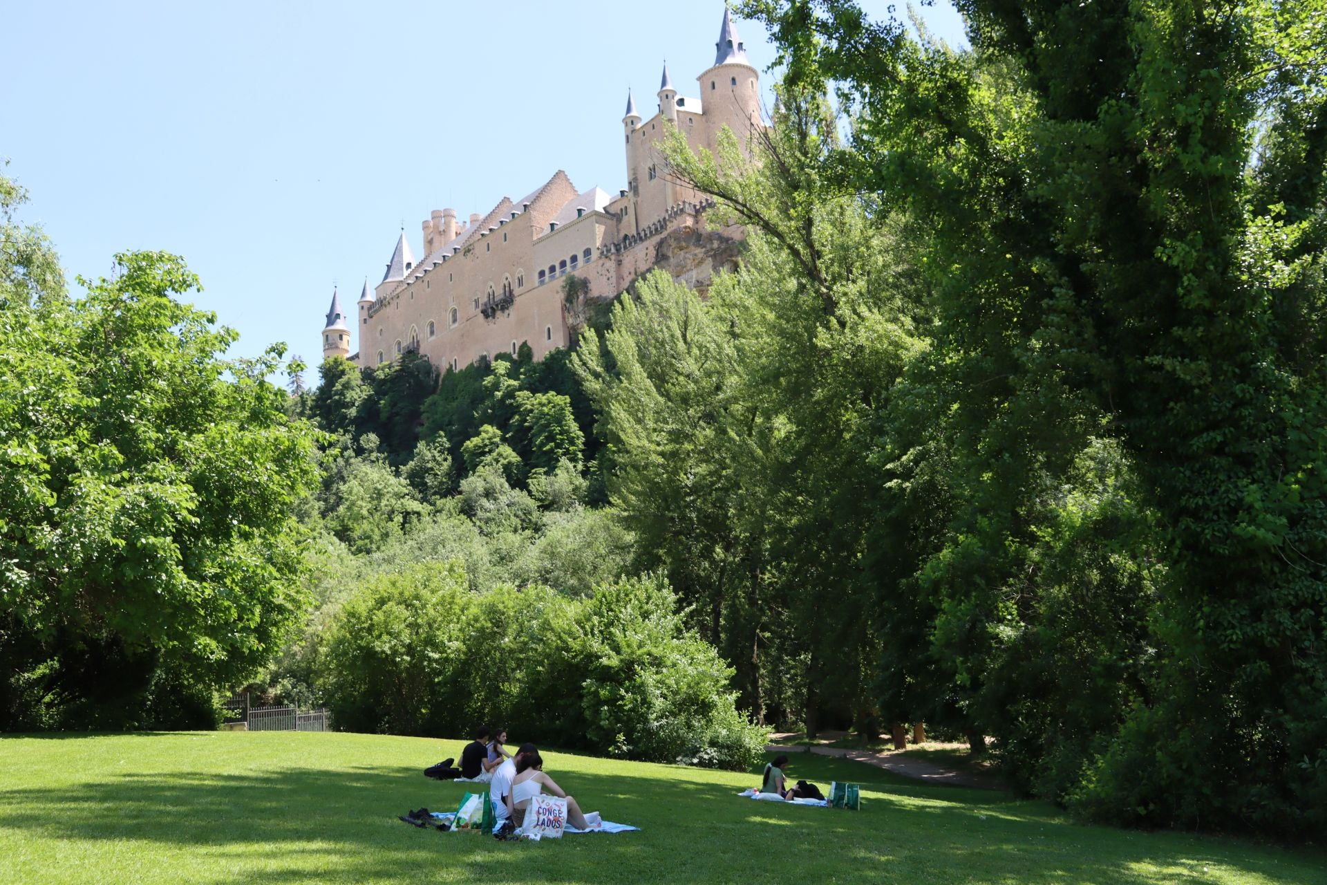 Fotografías del Picnic Day en Segovia