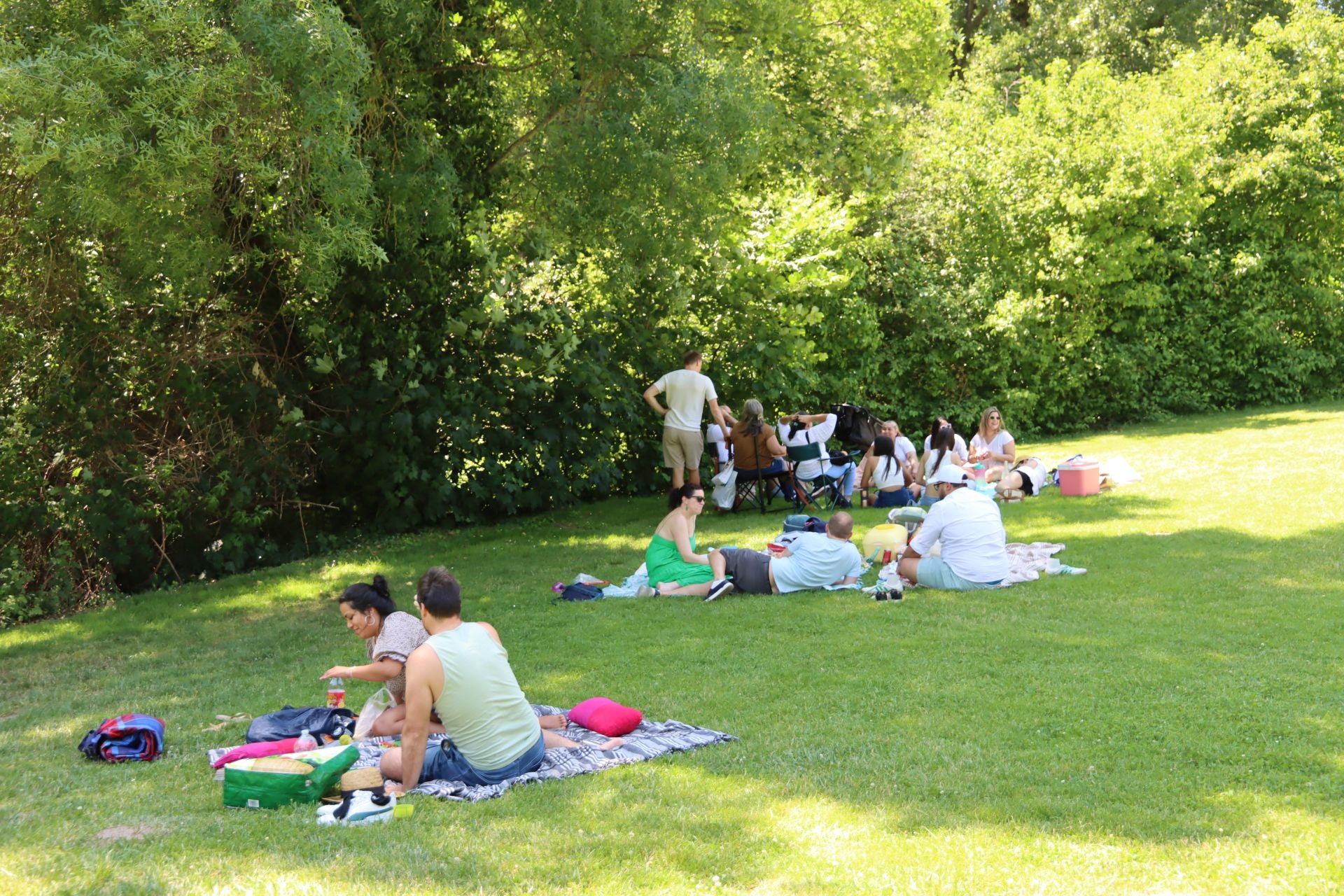 Fotografías del Picnic Day en Segovia