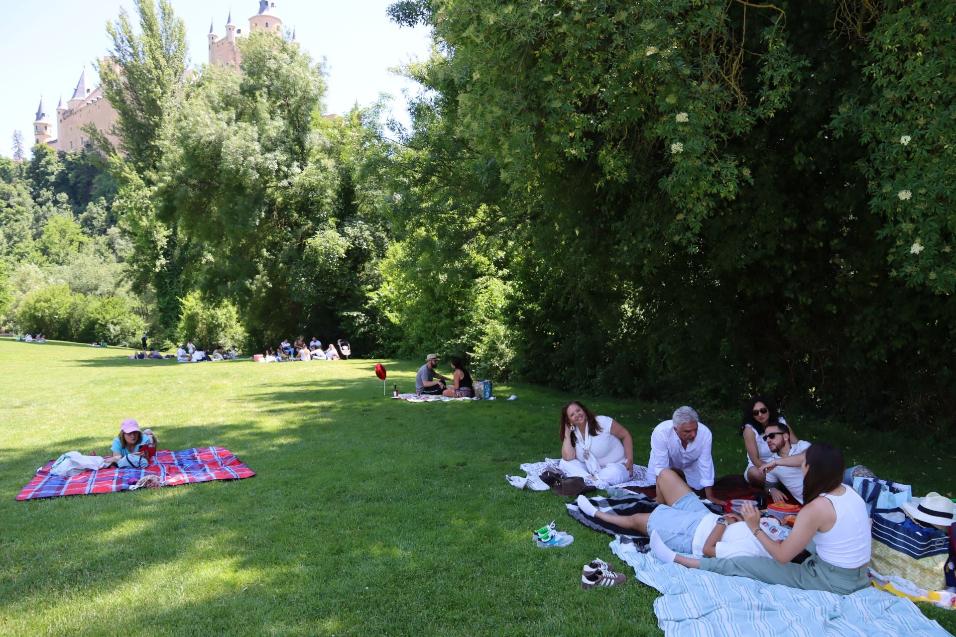 Fotografías del Picnic Day en Segovia