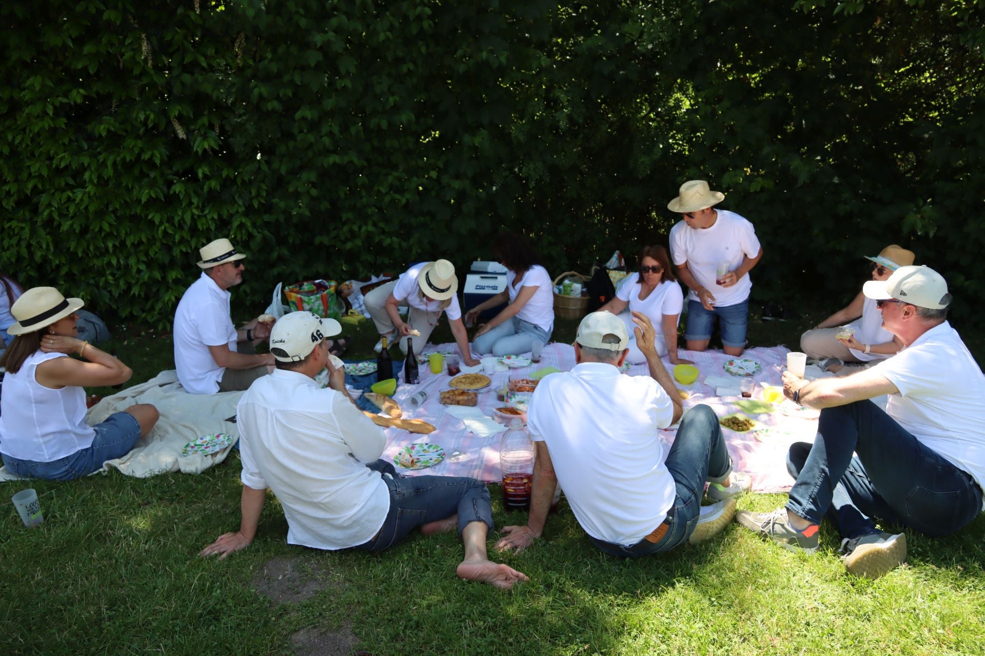 Fotografías del Picnic Day en Segovia