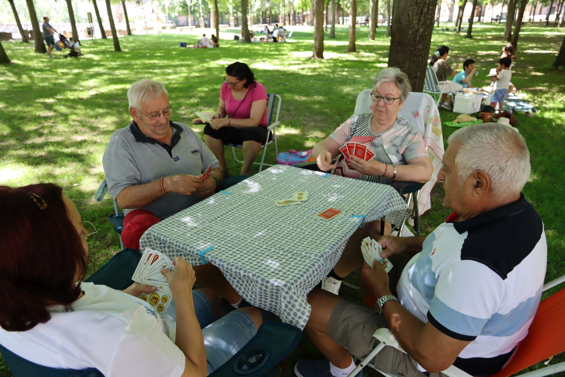 Fotografías del Picnic Day en Segovia