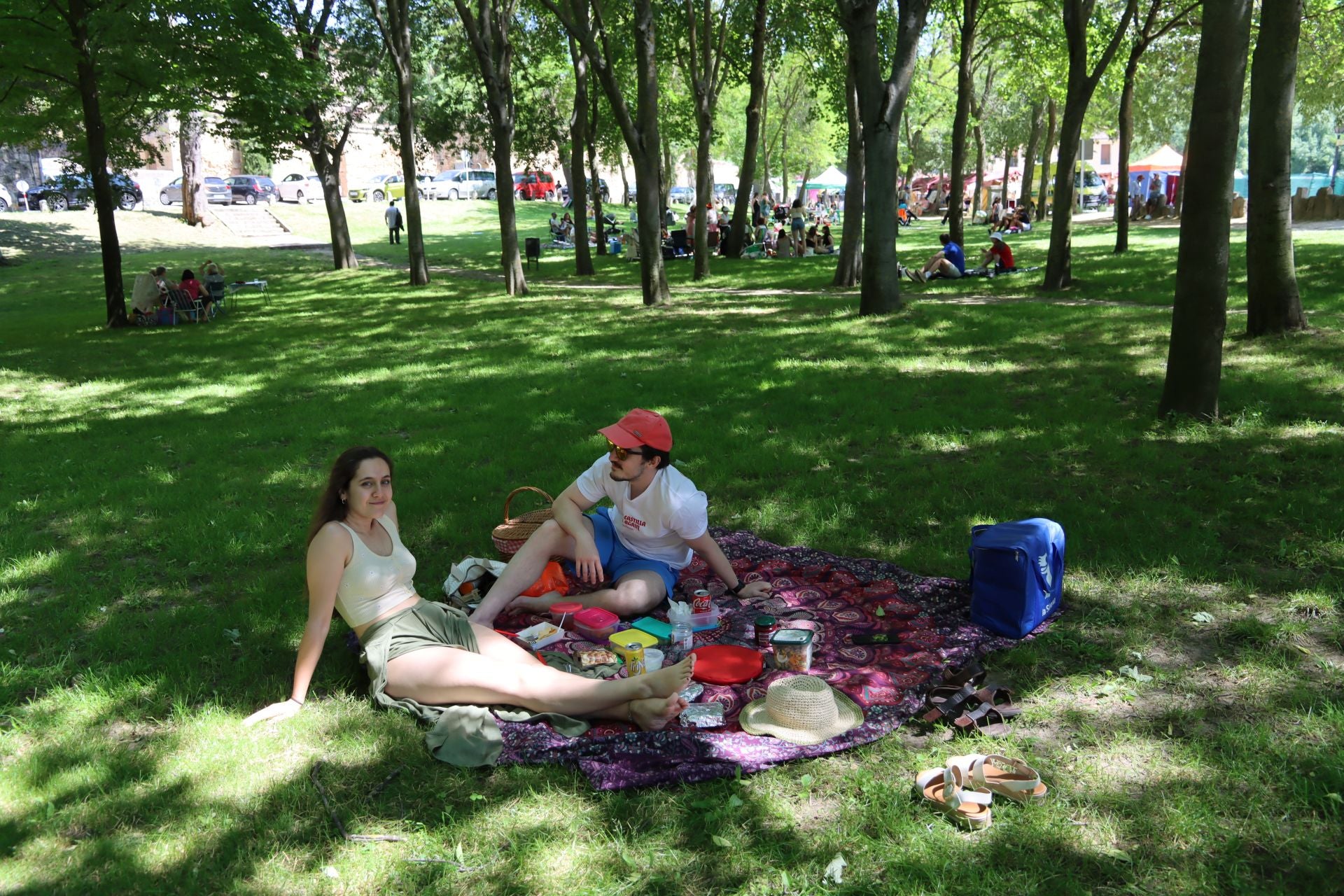 Fotografías del Picnic Day en Segovia