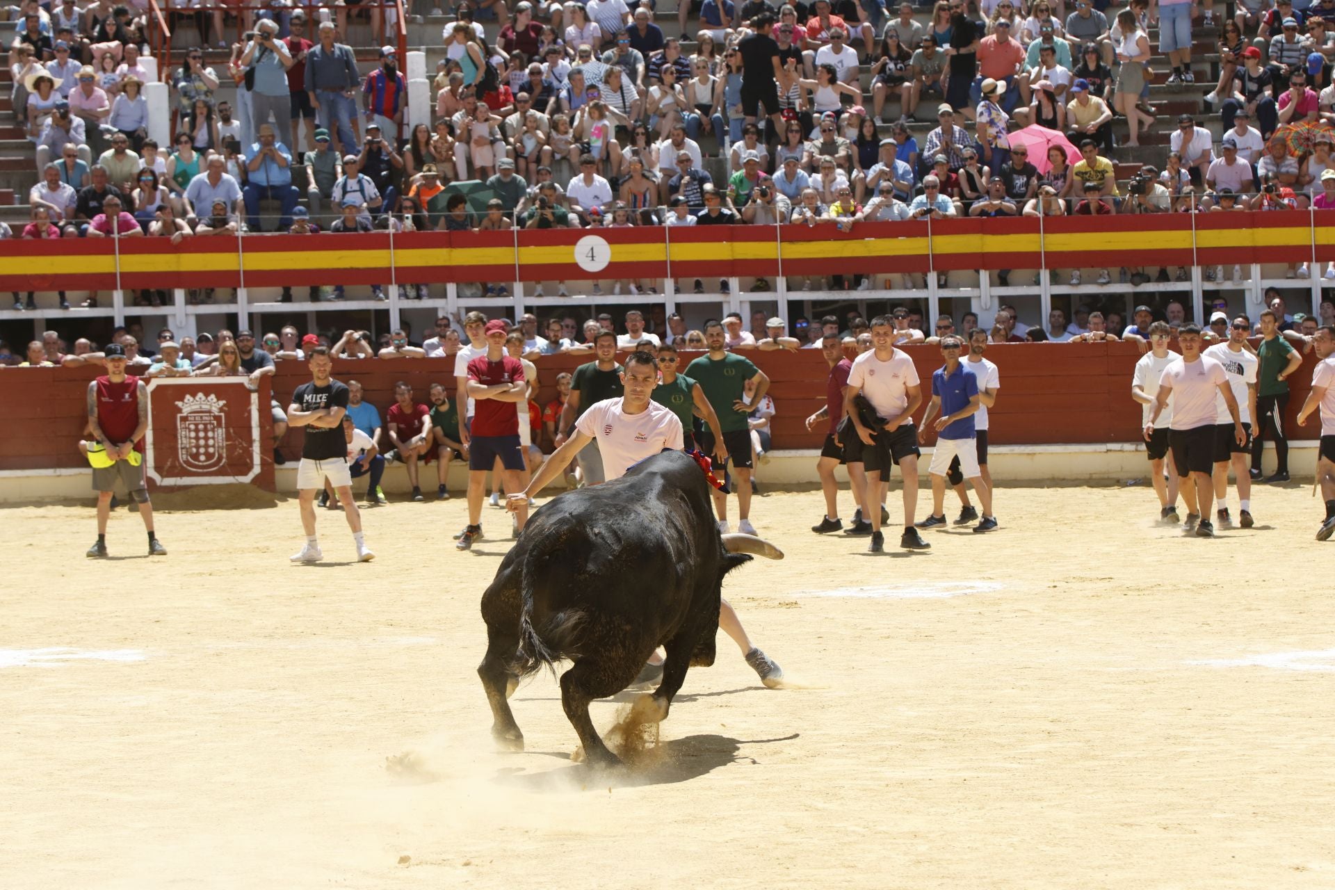 El Congreso Nacional de Toro de Cajón de Medina, en imágenes