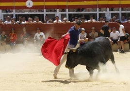 El Congreso Nacional de Toro de Cajón de Medina, en imágenes