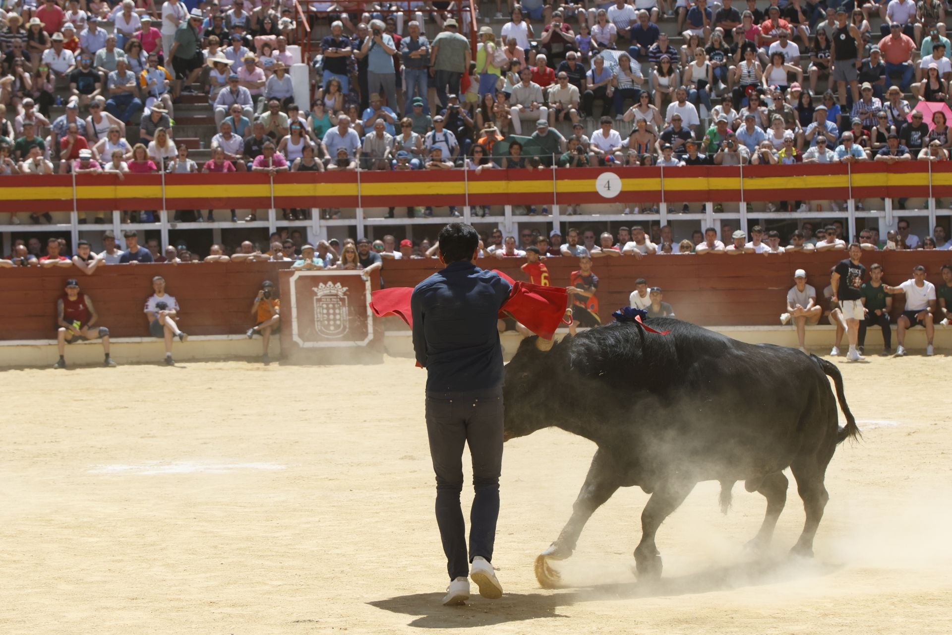 El Congreso Nacional de Toro de Cajón de Medina, en imágenes