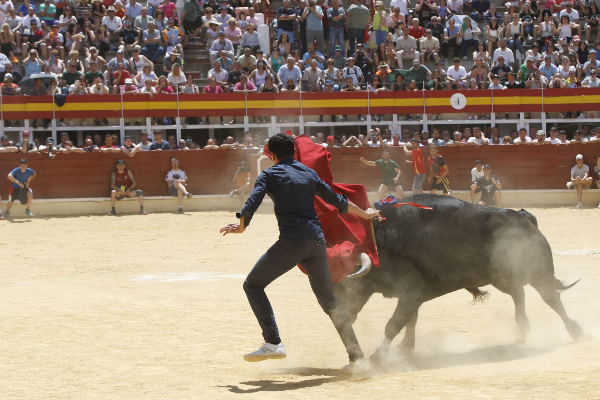 El Congreso Nacional de Toro de Cajón de Medina, en imágenes