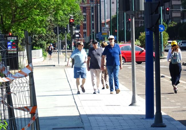 Tramo de acera que discurre junto al carril bici por el lateral de La Rosaleda.