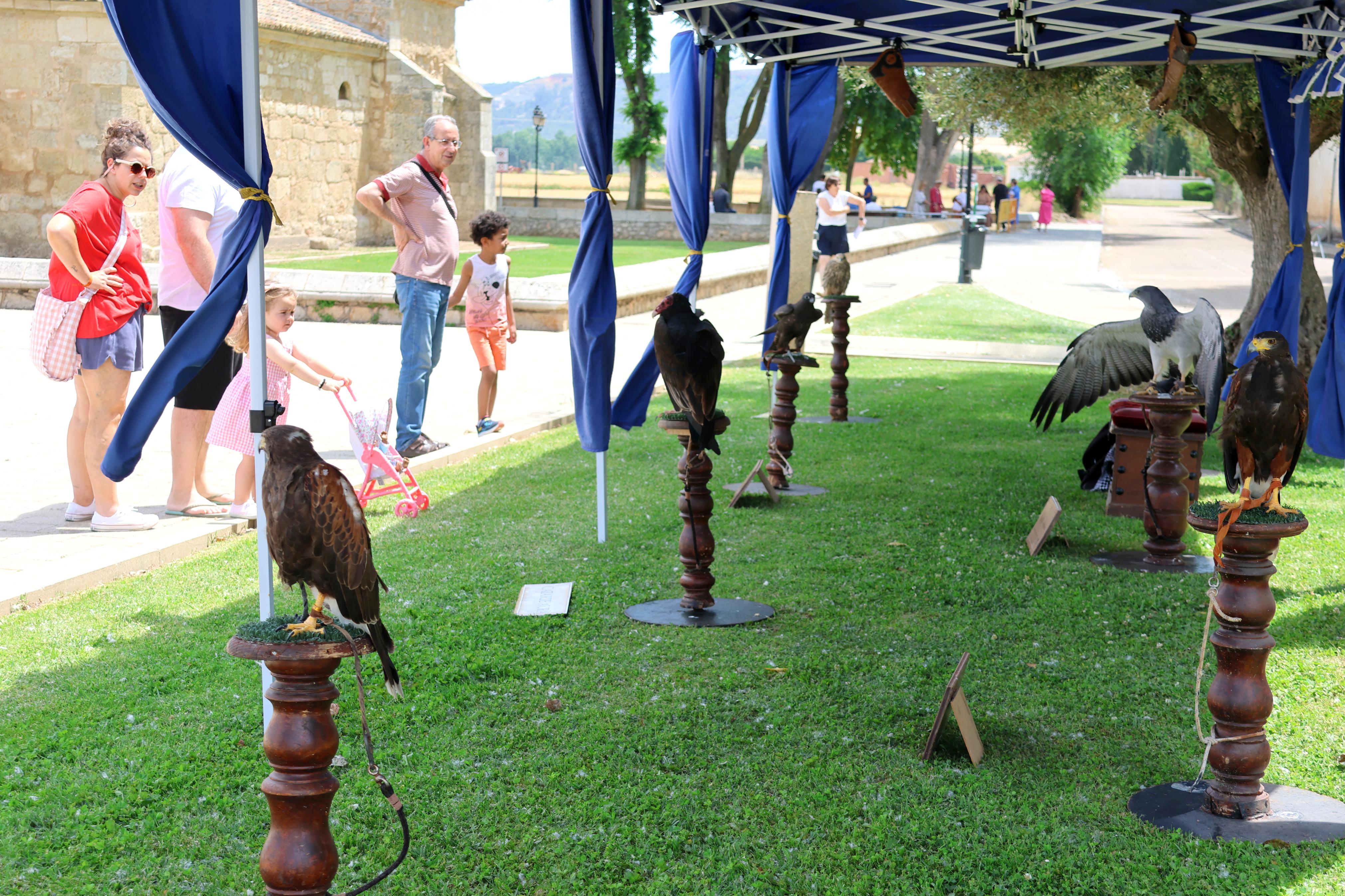 XI Feria Visigoda en Baños de Cerrato