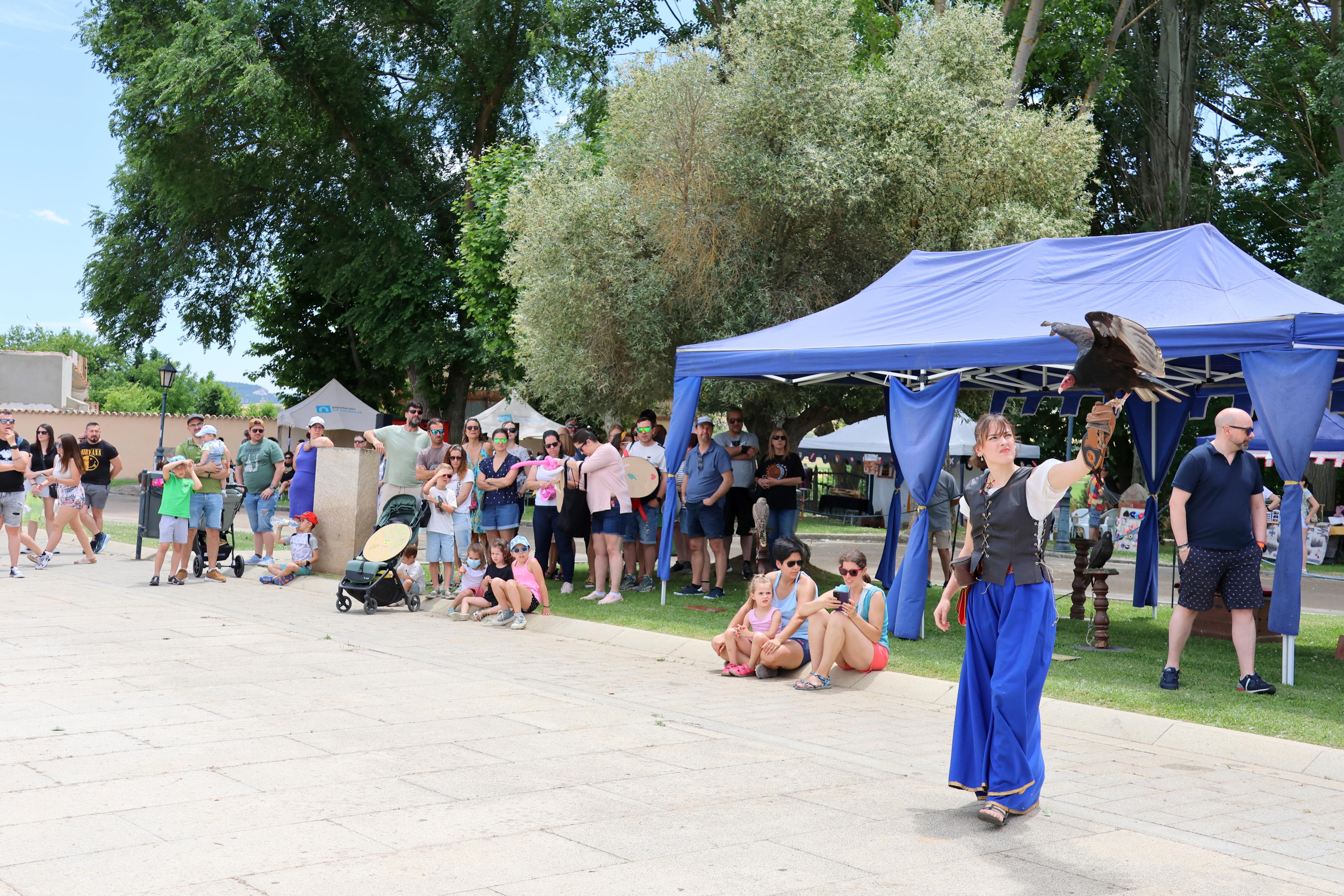XI Feria Visigoda en Baños de Cerrato