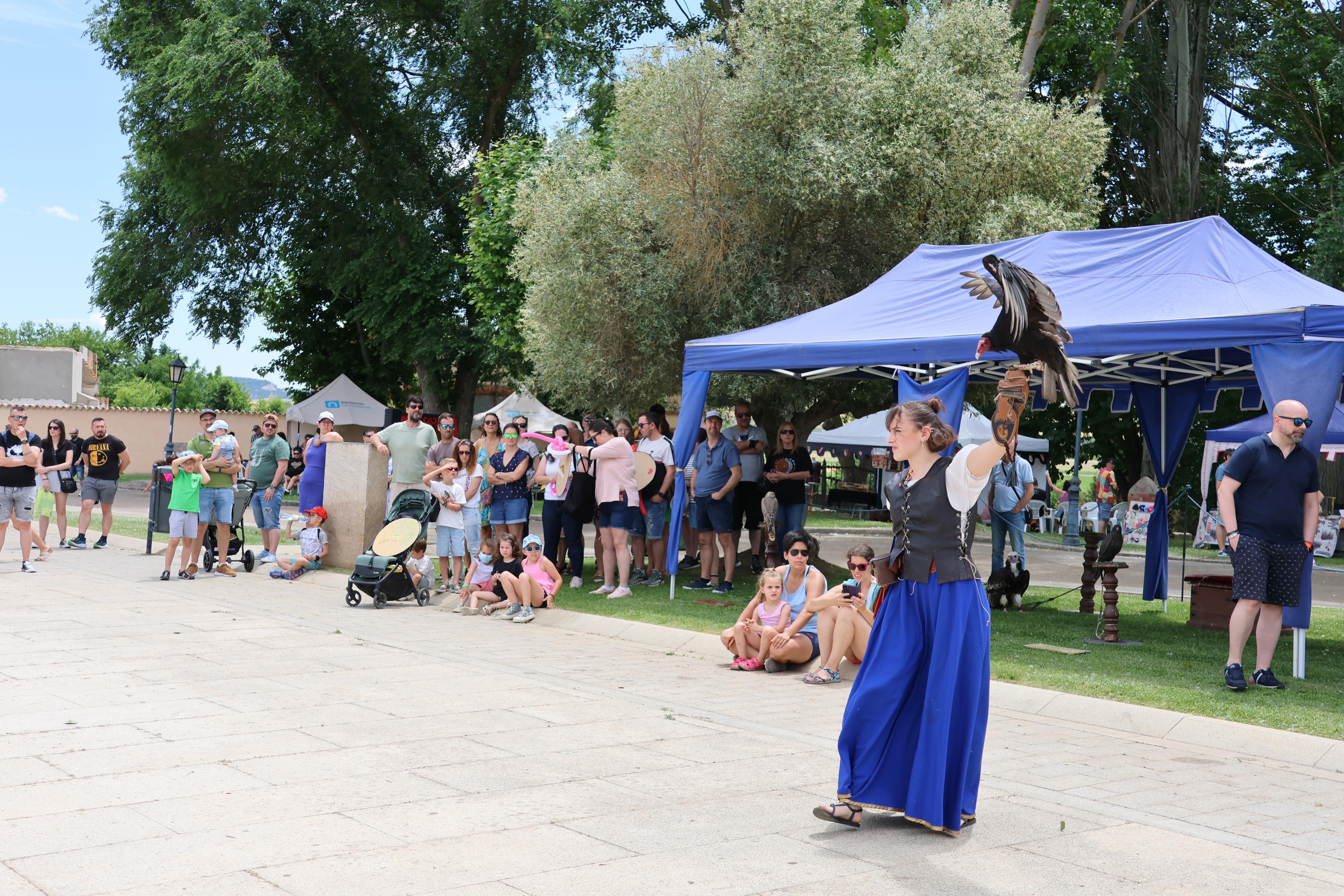 XI Feria Visigoda en Baños de Cerrato