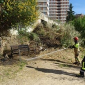 Labores de extinción del incendio en la senda del Palacio de la Ribera.