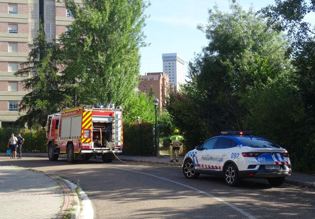 Una patrulla y el camión de Bomberos, en la entrada a la senda del Palacio de la Ribera, durante las labores de extinción.