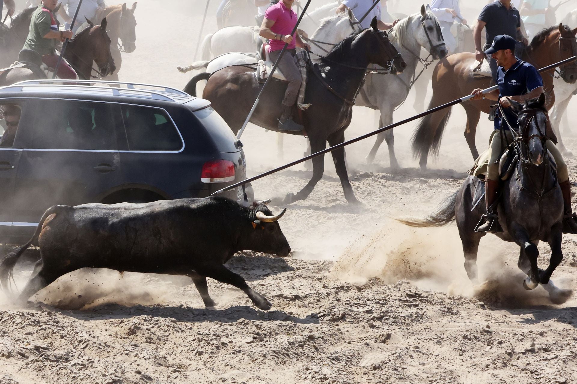 Las imágenes del regreso del encierro campero de Villanueva