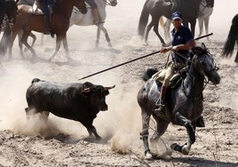 Uno de los momentos del encierro de esta mañana en la localidad vallisoletana.