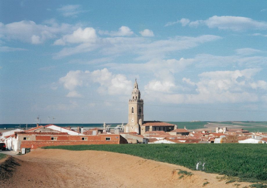 Panorámica de Nava del Rey,