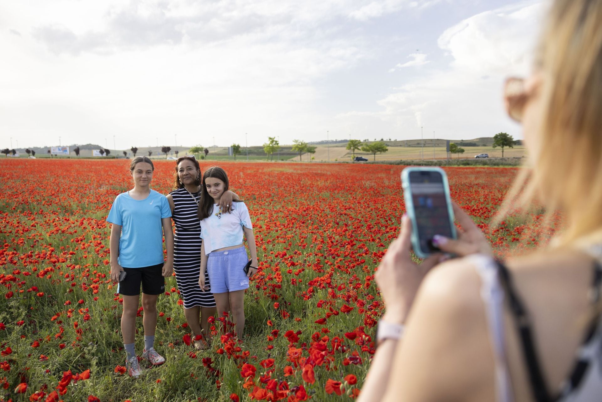 Los campos de amapolas a los que acuden cientos de personas a fotografiarse