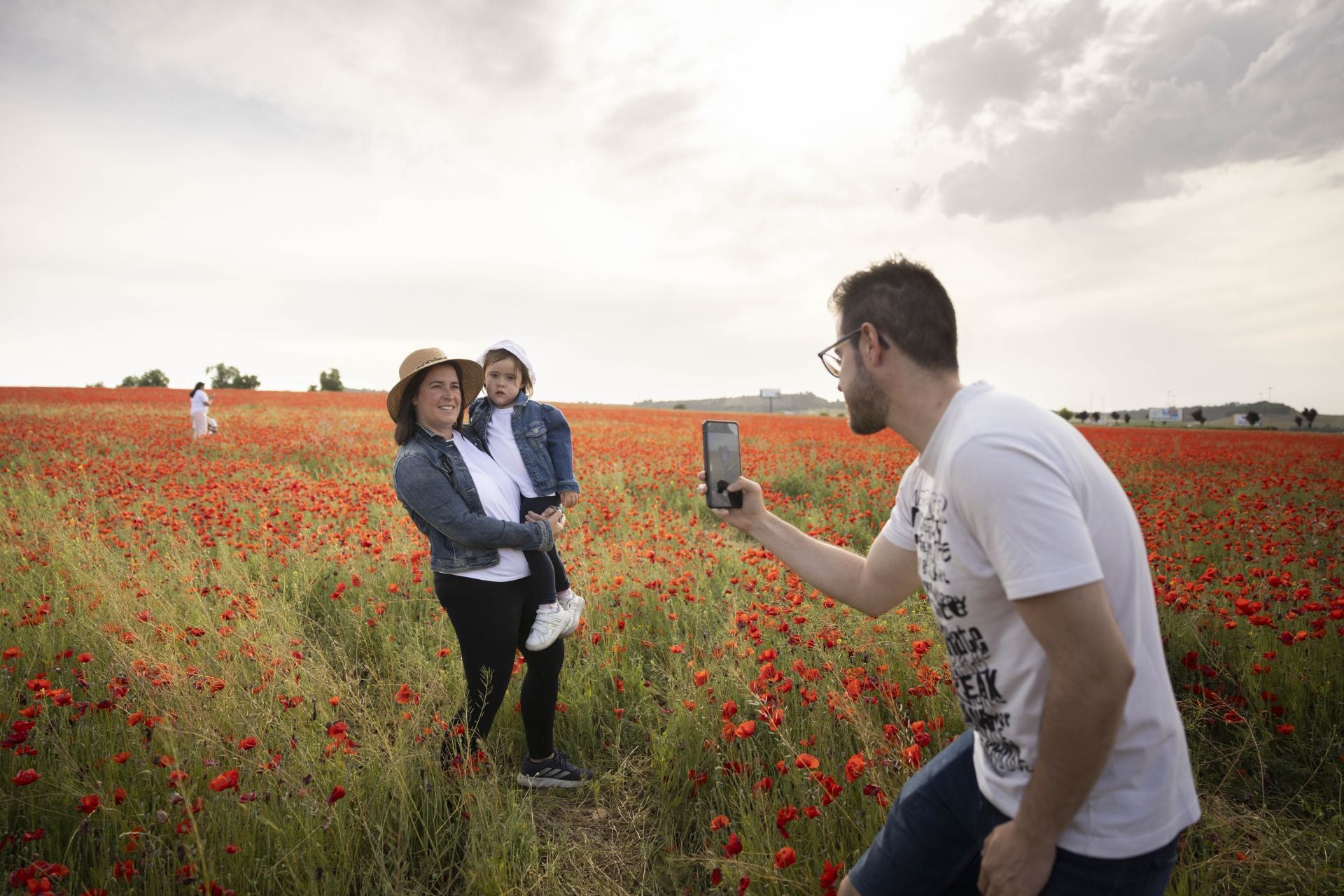 Los campos de amapolas a los que acuden cientos de personas a fotografiarse