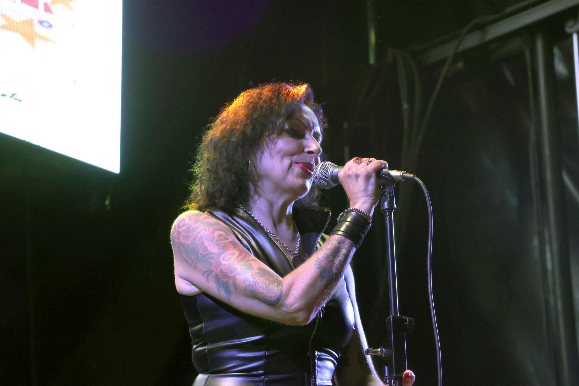 Las imágenes de los conciertos en el festival Mirarock de Santovenia