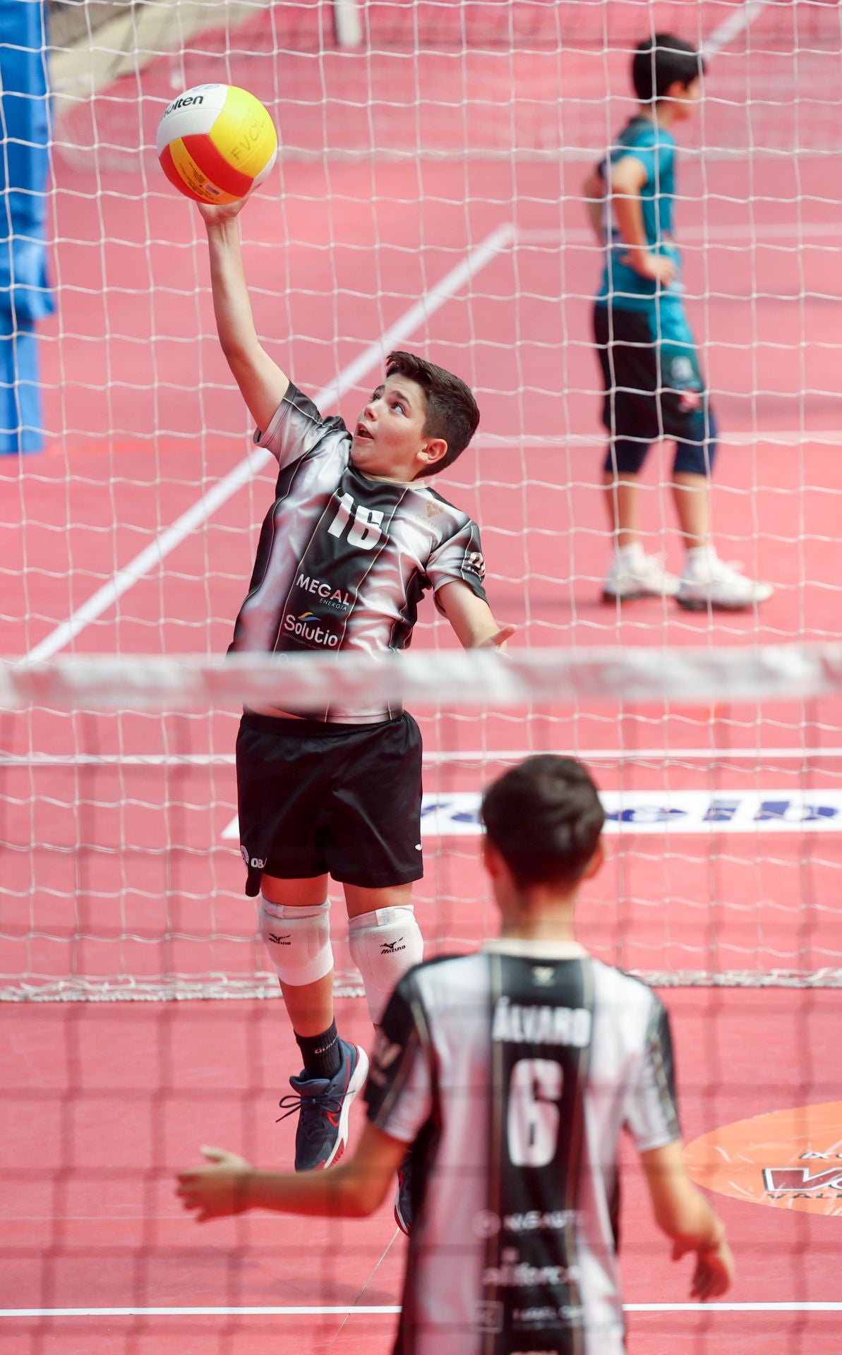 Más de 800 alevines, en el Campeonato de España de Voleibol