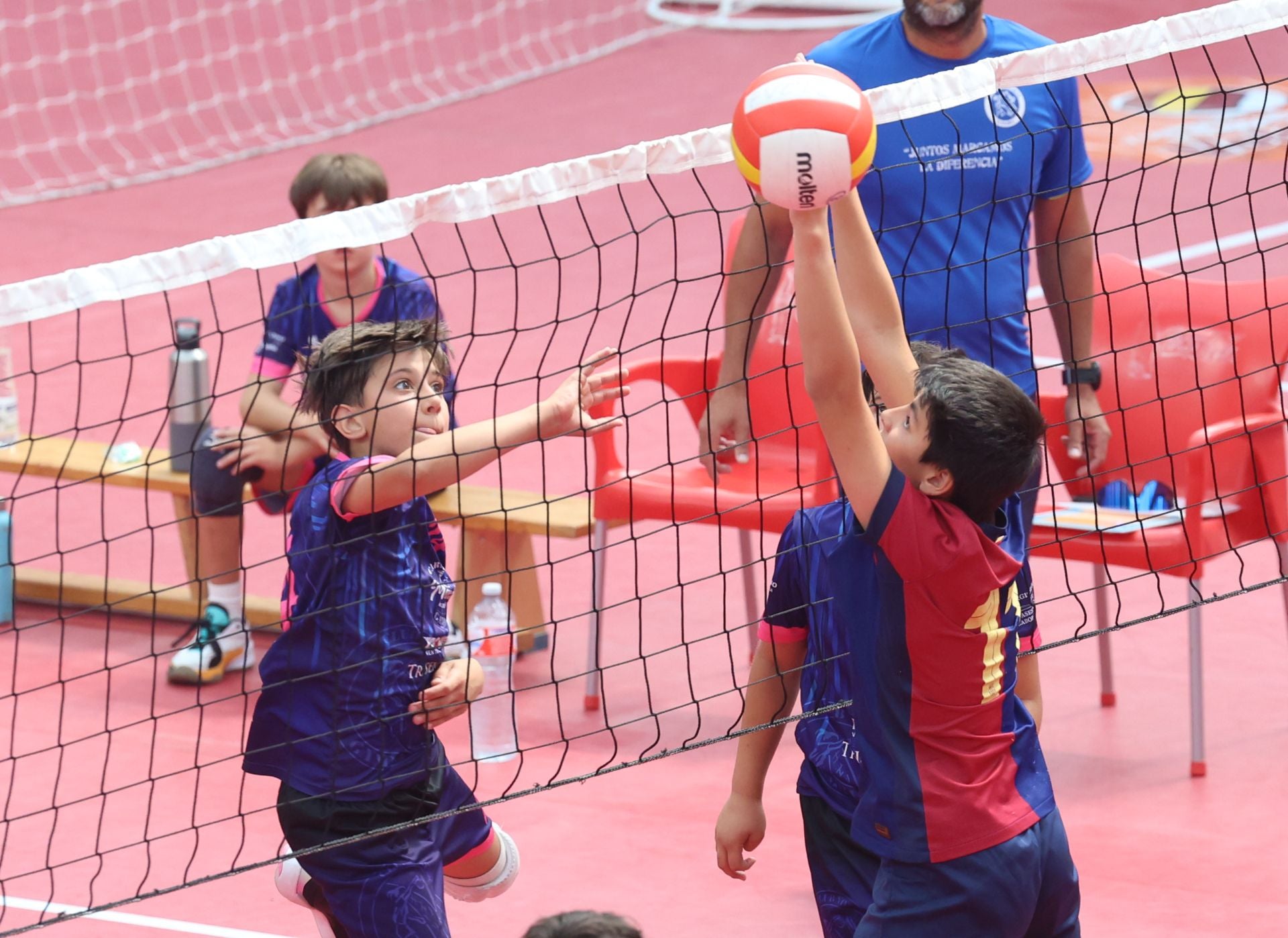 Más de 800 alevines, en el Campeonato de España de Voleibol