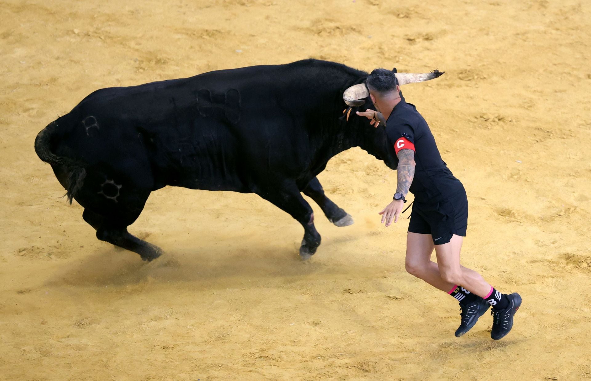El quinto encierro de Arroyo, en imágenes
